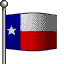 Texas Flag Waving